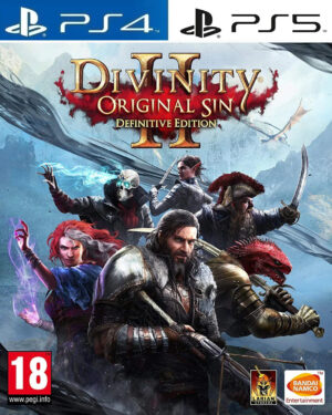 Divinity: Original Sin 2 PS4 | PS5